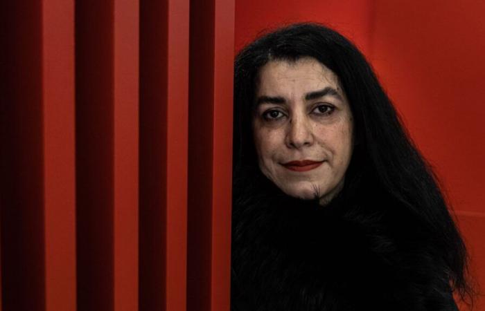 Franco-Iranian artist Marjane Satrapi refuses the Legion of Honor