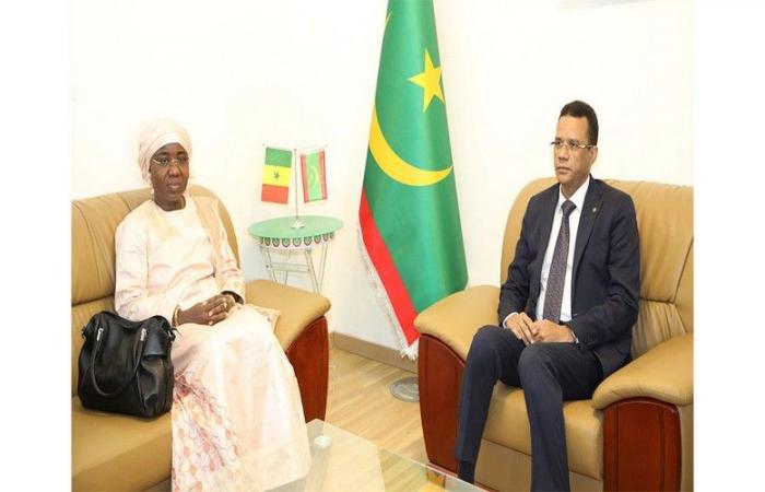 Fishing cooperation and maritime infrastructure: Meeting between the ministers of Mauritania and Senegal – VivAfrik