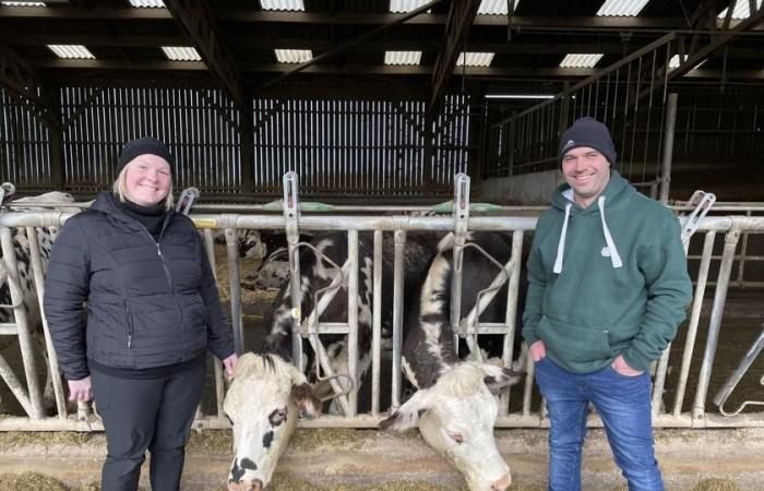 Installation | Sabrina & Mathieu Lebel, property on their dairy farm in Calvados