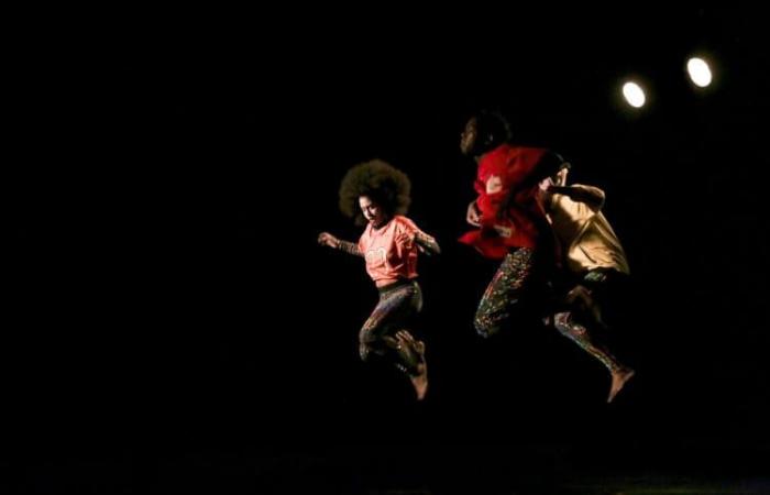 Festival of International Choreographic Meetings of Seine-Saint-Denis at Les Lilas