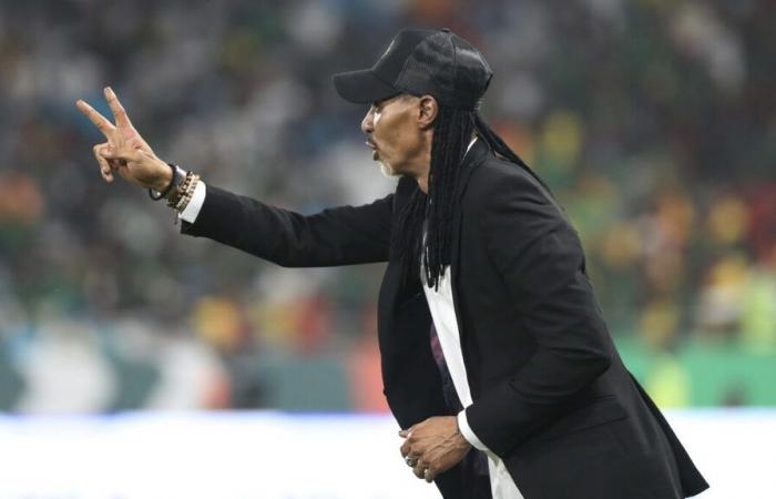 Football: imbroglio in the Central African Republic after the appointment of Rigobert Song as coach