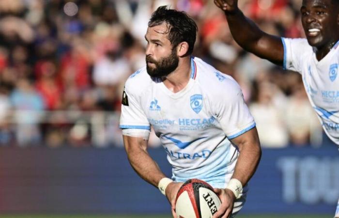 scrum half Cobus Reinach will leave Montpellier for the South African Stormers