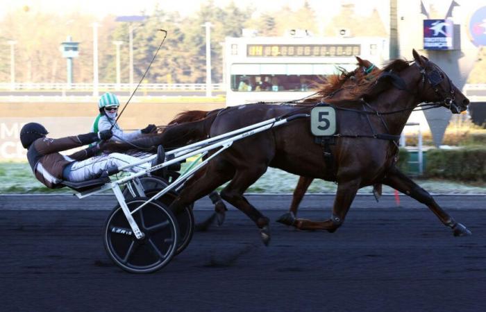 PMU – Arrival of the quinté on Tuesday January 14 at Paris-Vincennes: Chestnut opens his counter in France