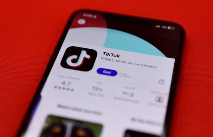 China Weighs Sale of TikTok’s US Operations to Elon Musk as One Possible Option