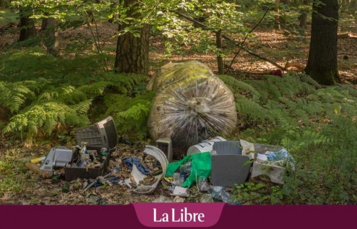 After four years, a man who threw his waste into nature was identified: he had to pay a very steep fine