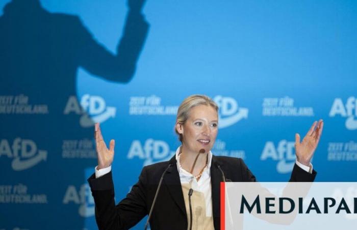 Germany: AfD adopts racist program and Nazi slogan – Mediapart