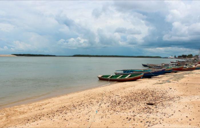 In six days, 218 migrant canoes were intercepted in French Guiana