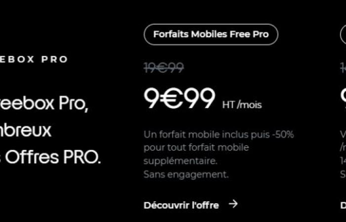 Free launches its new Freebox Pro: symmetrical 8 Gb/s, still at 49.99 euros excluding tax per month