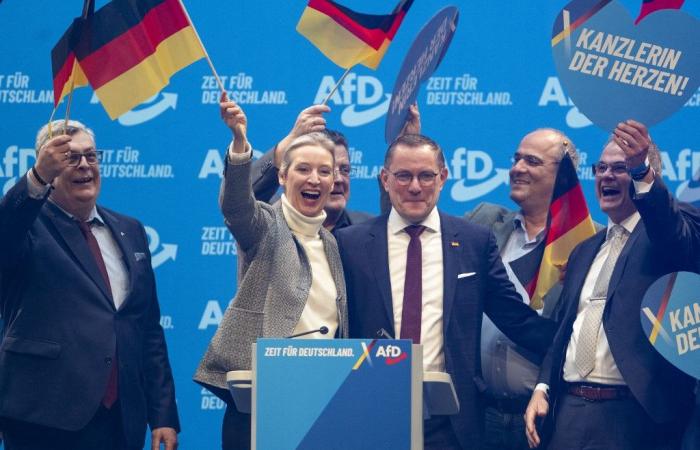 is the AfD taking the legislative elections hostage in Germany?