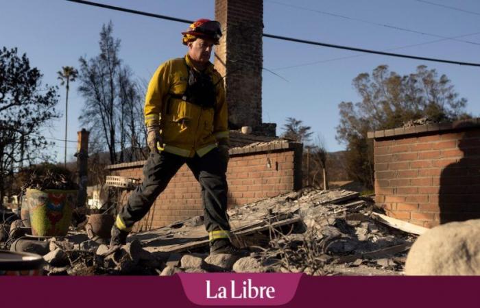 Fires in California: when owners take advantage of the fires to increase their rent