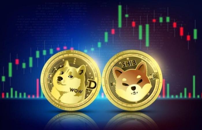 Dogecoin up 10%, Shiba Inu gains 6%: What is fueling this surge?