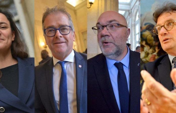 Policy. After François Bayrou's speech, the reactions of the Manche deputies