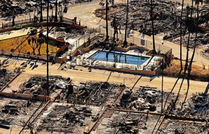 Fires in Los Angeles: can they call into question the organization of the 2028 Olympics?