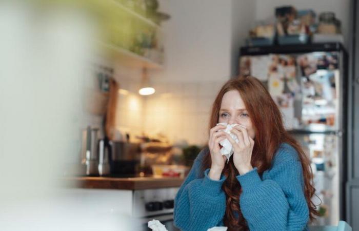 4 foods to get better when you're sick