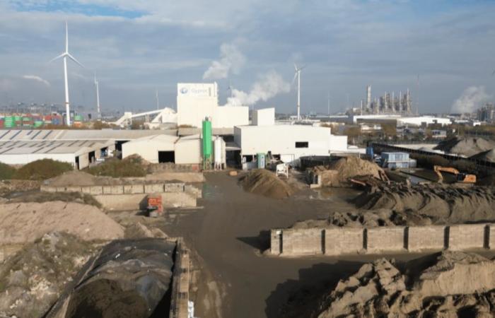 in Antwerp, the utopia of soil depollution in the face of PFAS