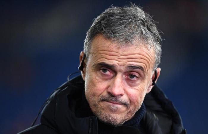 Luis Enrique's clear answers on the Mercato and Kvaratskhelia