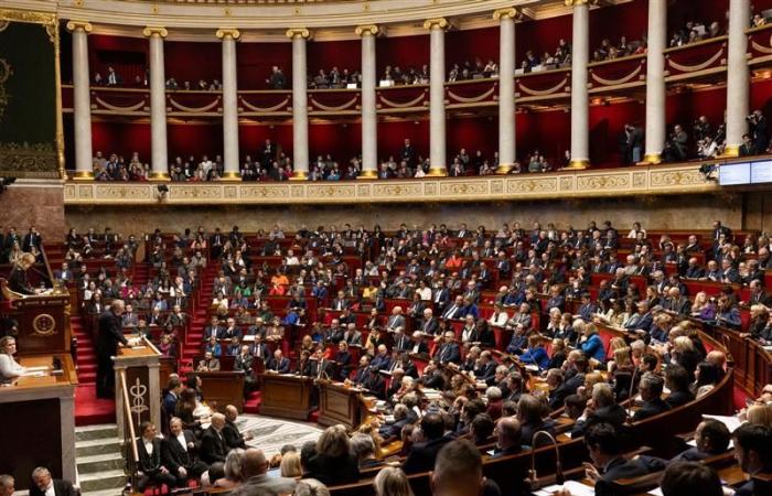 Spilled glass of water, loose leaves and low masses… In the Assembly, the sidelines of Bayrou's speech