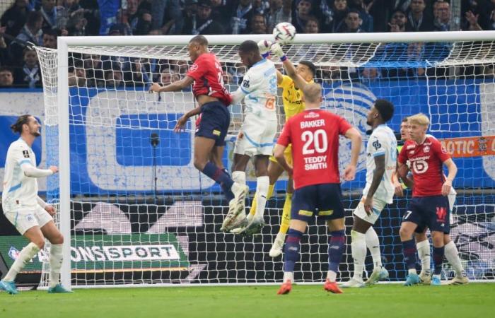 Lille: the 3 things to know about Losc before the round of 16 of the Coupe de France