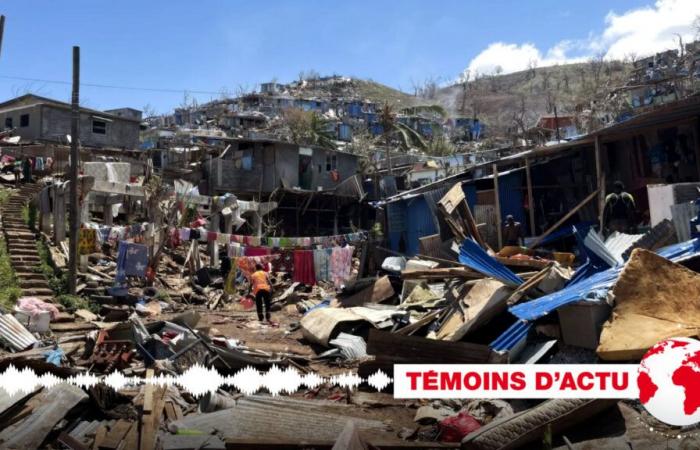 Mayotte, one month after Cyclone Chido: shared stories from reporters [1/2]