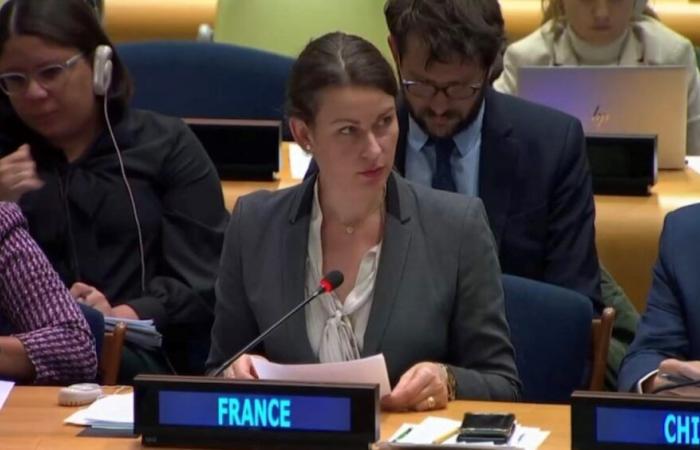 France calls on Russia to comply with international law (…)