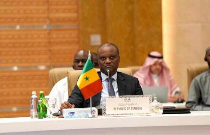 Islamic finance: a strategic lever for the Senegal 2050 vision (minister) | APAnews