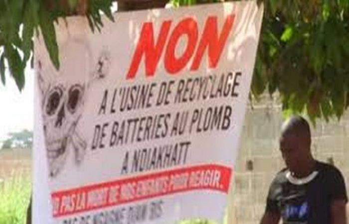 Pollution in Ndiakhate (Senegal): The villages of Pout and Keur Moussa denounce the resumption of the lead recycling plant and its impacts on health and agriculture – VivAfrik