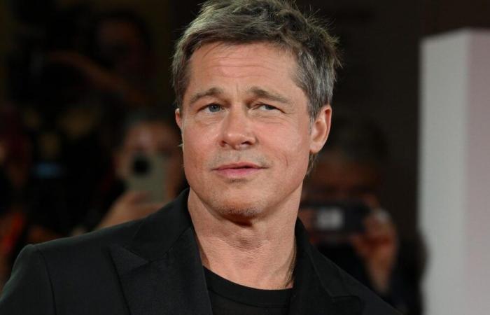 The victim of the fake Brad Pitt cyberstalked, TF1 removes the sequence from the replay of “Seven to eight”