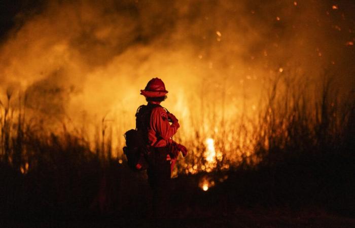 Fires in Los Angeles: a new outbreak of fire and winds with force “close to that of a hurricane” to come