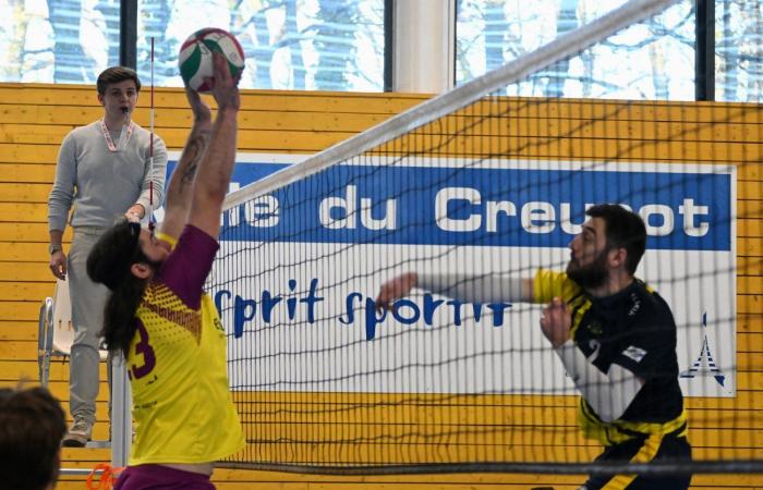 VOLLERY BALL (Pre-national women): A great victory for Le Creusot against Sallins les Bains