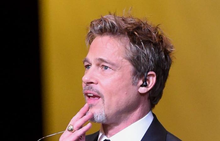 TF1 withdraws the report on a woman scammed by a fake Brad Pitt