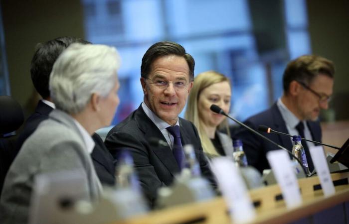 Rutte addresses European Parliament on defense priorities