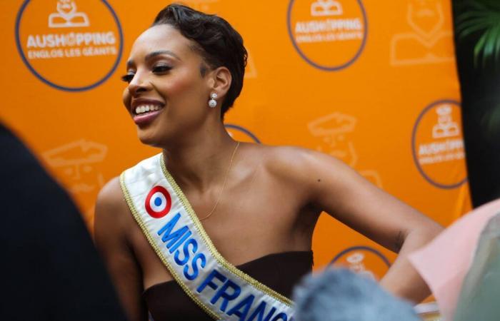 Faced with the “Charlie” controversy, the Miss France committee “worried” about the safety of Angélique Angarni-Filopon