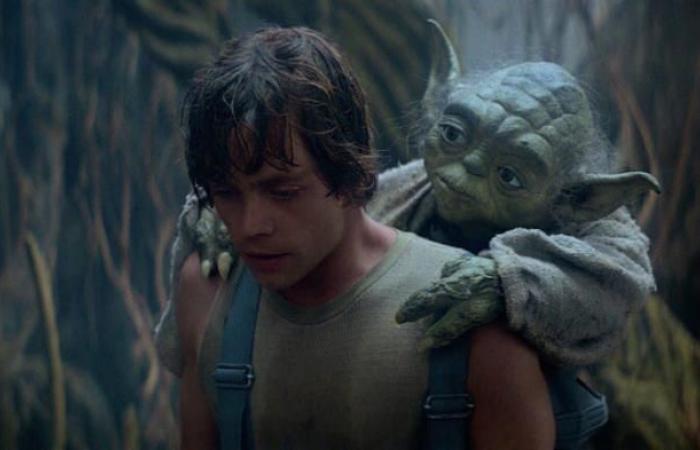 the improbable peculiarity of Yoda spotted by a fan