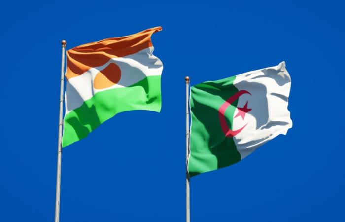 Algeria lost Mali, it wins Niger: Sonatrach wins 2 big contracts, a refinery and a petrochemical complex