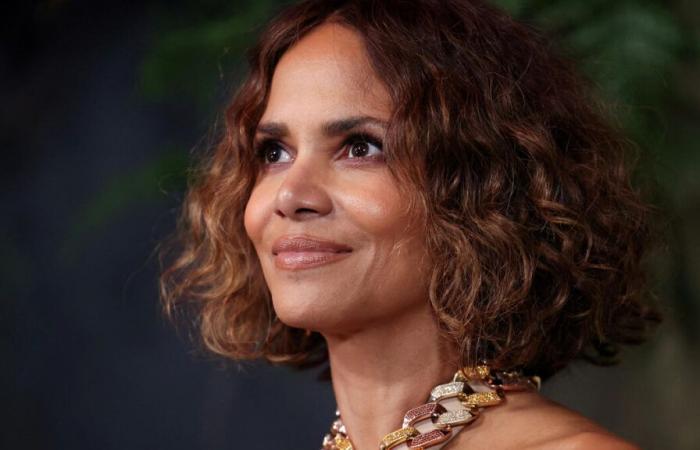 Halle Berry donates her entire wardrobe to LA fire victims