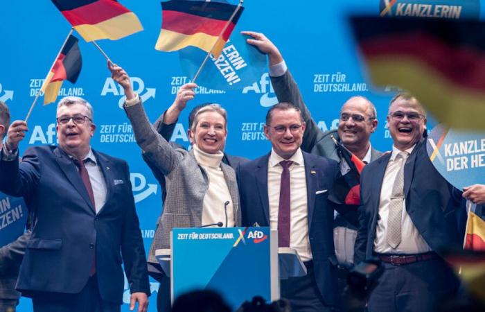 AfD at poll high: Can Weidel still catch up with Merz? | policy