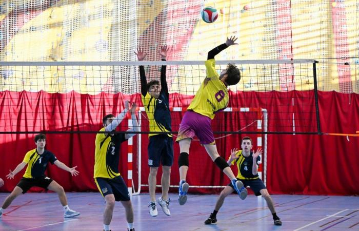 VOLLERY BALL (Pre-national women): A great victory for Le Creusot against Sallins les Bains