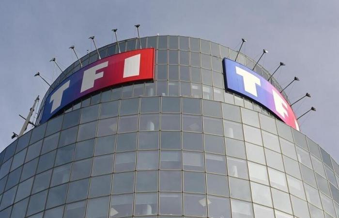 Woman scammed by a fake Brad Pitt: TF1 withdraws its report after a wave of