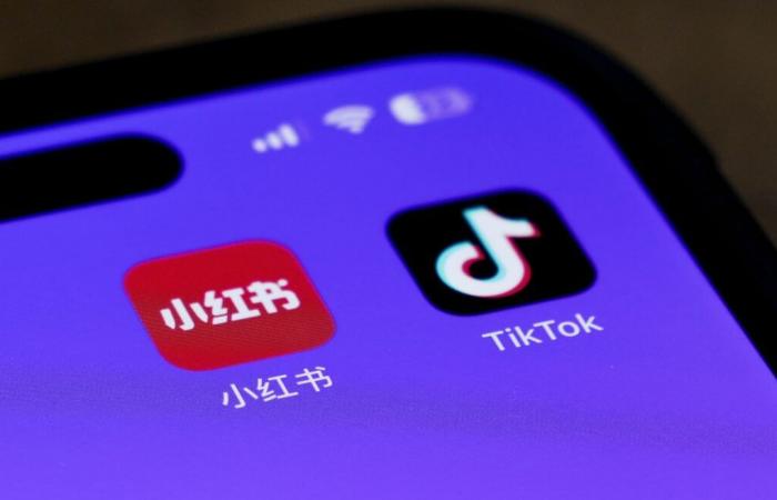 An alternative to TikTok is gaining popularity