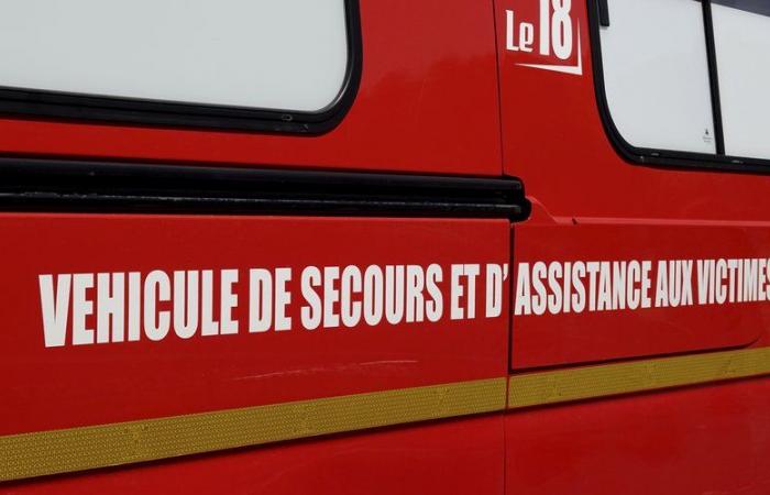 Gard firefighters rescue a worker injured in a tunnel boring machine in Nîmes