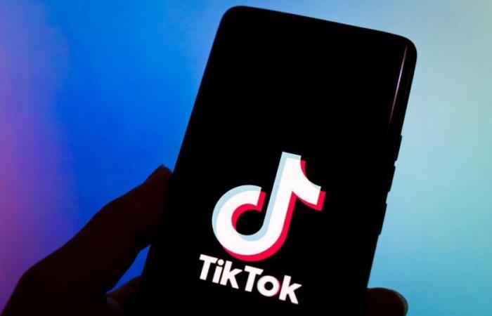 What would happen to TikTok on my phone if the app is banned?