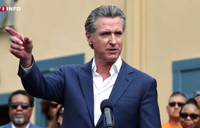 Fires in Los Angeles: Gavin Newsom, governor under pressure before Donald Trump returns to business