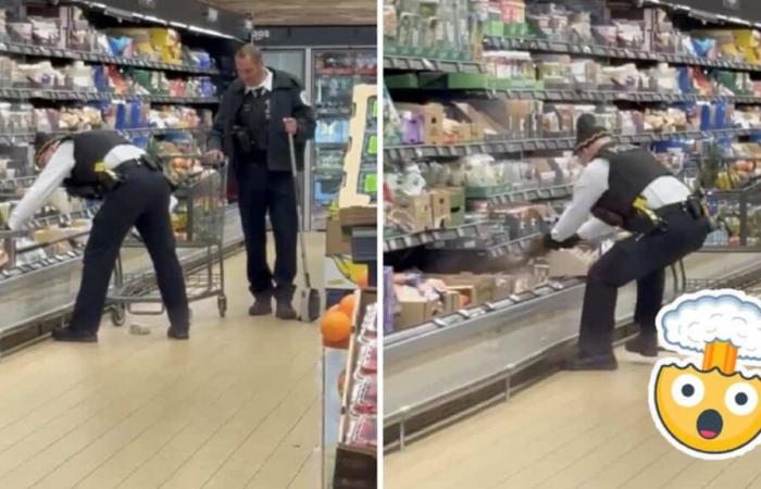 An animal is pulled out of a fridge at a grocery store and it’s definitely not the one you expected