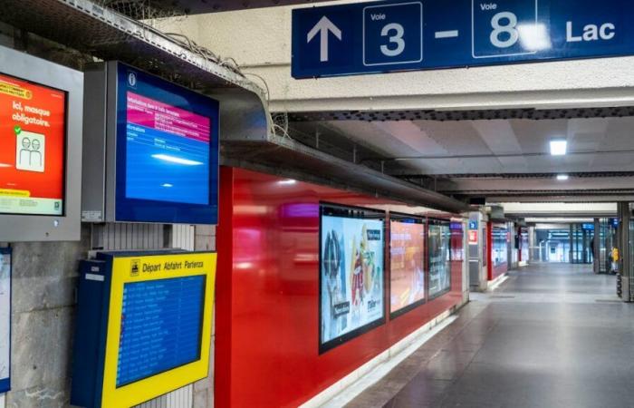 Lausanne: he dies after a fight with his brother at the station