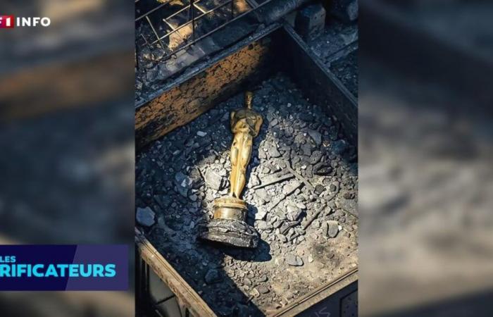 CHECK – Was an Oscar really discovered in the ashes of a house in Los Angeles?