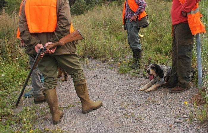 The prefecture warns of a suspicion of Aujeszky's disease (pseudo-rabies) in dogs in Bas-Rhin