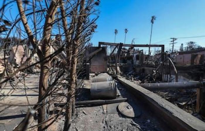 IN PICTURES | Fires in Los Angeles: wind gusts of up to 110 km/h threaten to fan the fires