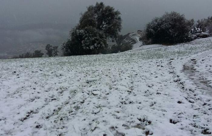 Cold wave and snowfall in several provinces of the Kingdom