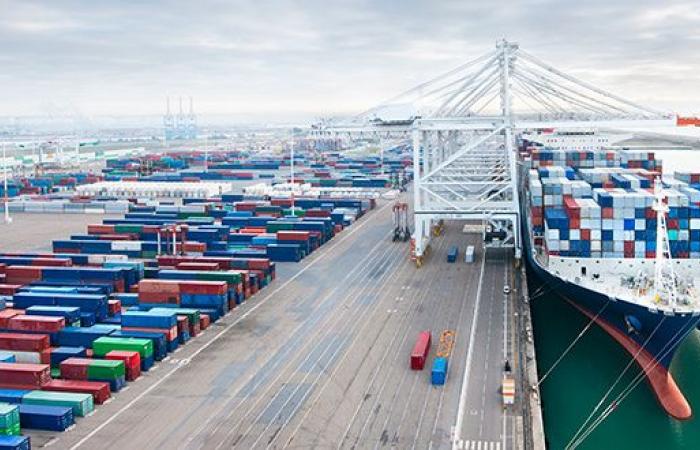 Import Cargo Surge Continues Into January