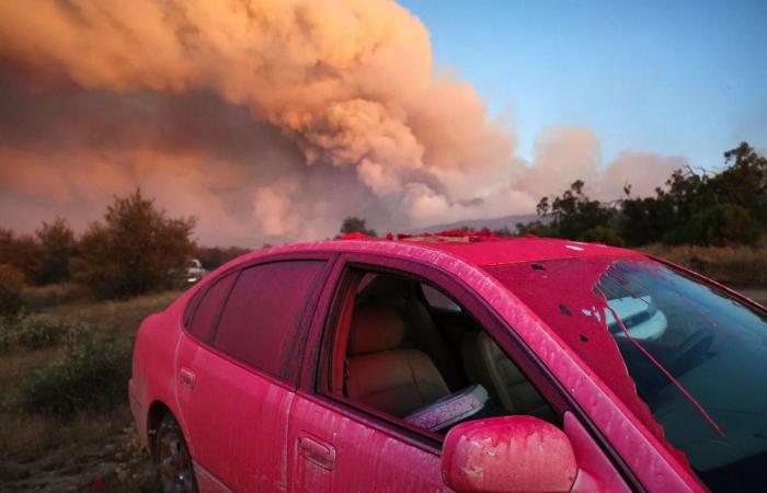 What is this pink substance dropped on fires?